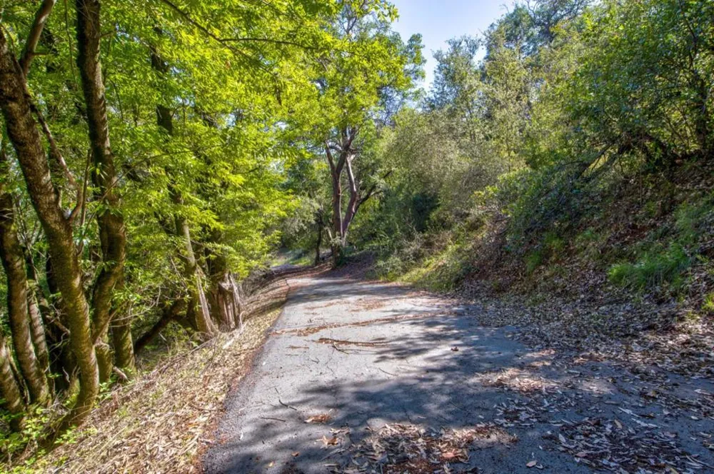 Montebello Road Cupertino, CA 95014