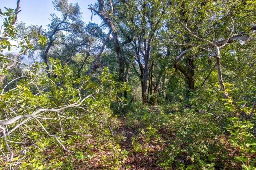 Montebello Road Cupertino, CA 95014