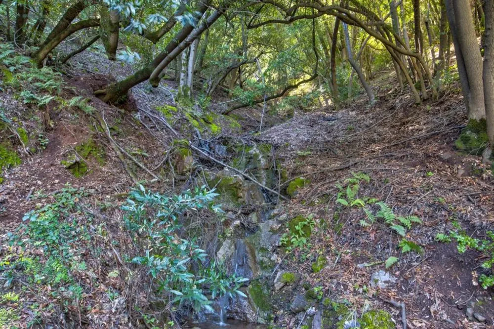 Montebello Road Cupertino, CA 95014