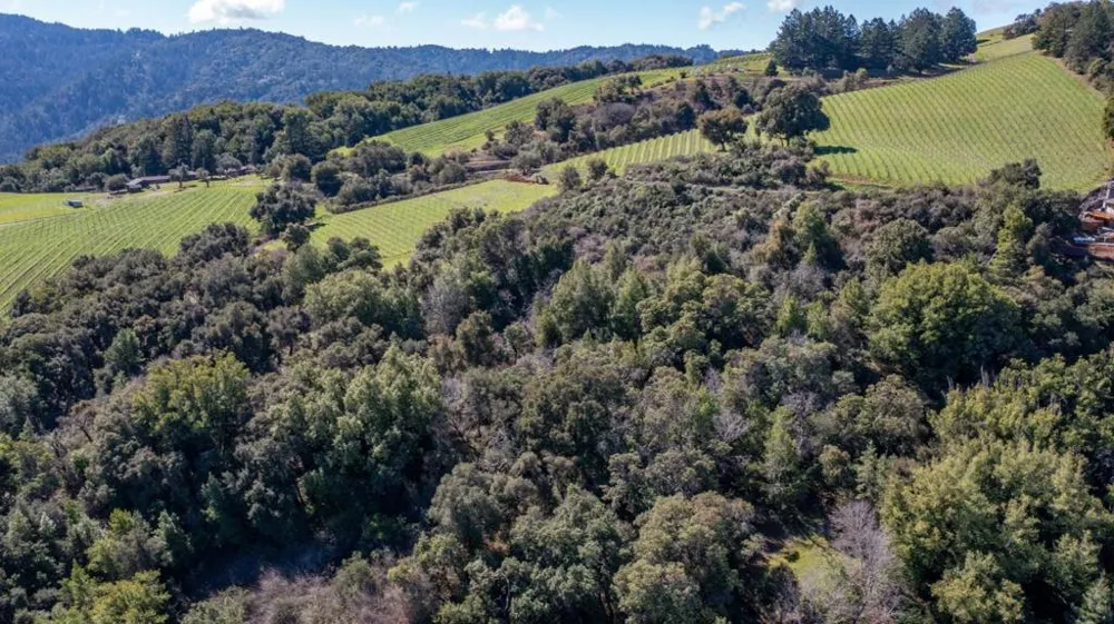 Montebello Road Cupertino, CA 95014
