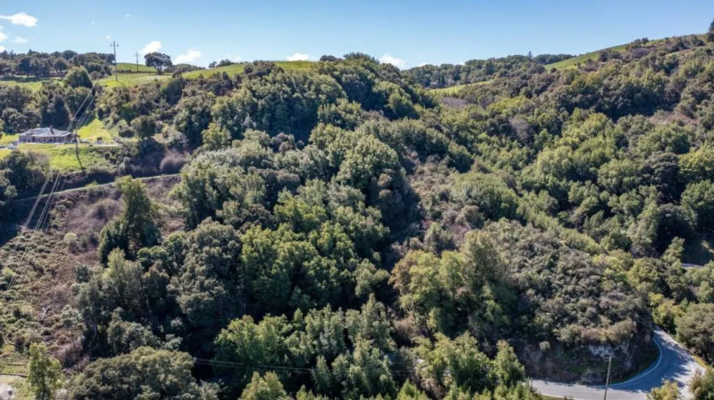 Montebello Road Cupertino, CA 95014