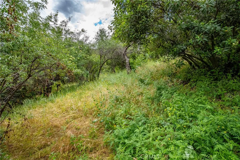 7266 Tranquil Drive Tujunga, CA 91042