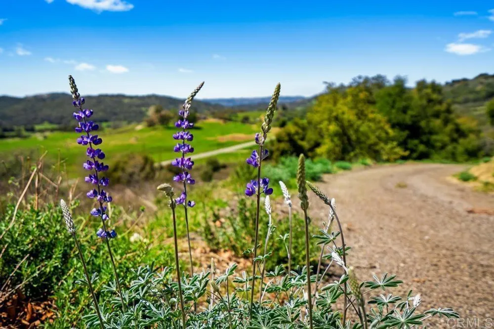 25677 Mesa Grande Road Santa Ysabel, CA 92070