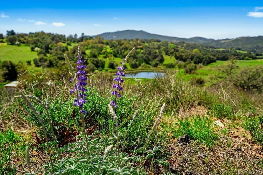 25677 Mesa Grande Road Santa Ysabel, CA 92070