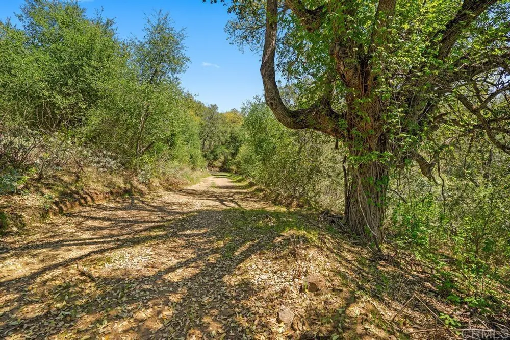 25677 Mesa Grande Road Santa Ysabel, CA 92070