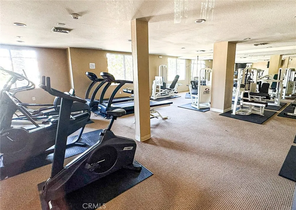 13200 Pacific Promenade #217 Playa Vista, CA 90094