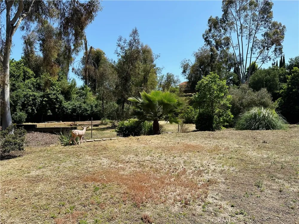 792 El Vallencito Drive Walnut, CA 91789