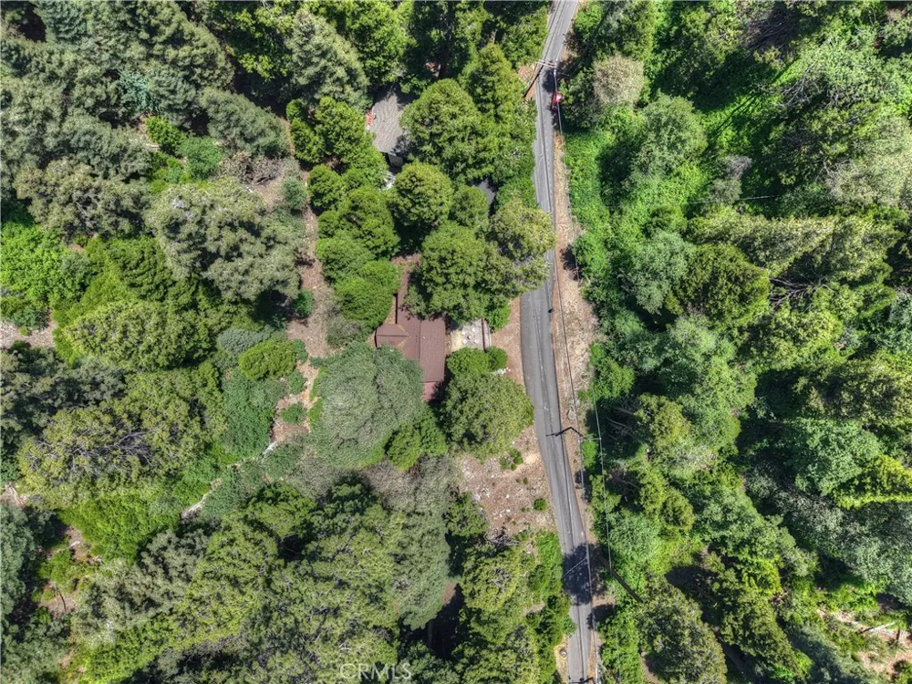 425 Blue Jay Canyon Lake Arrowhead, CA 92317