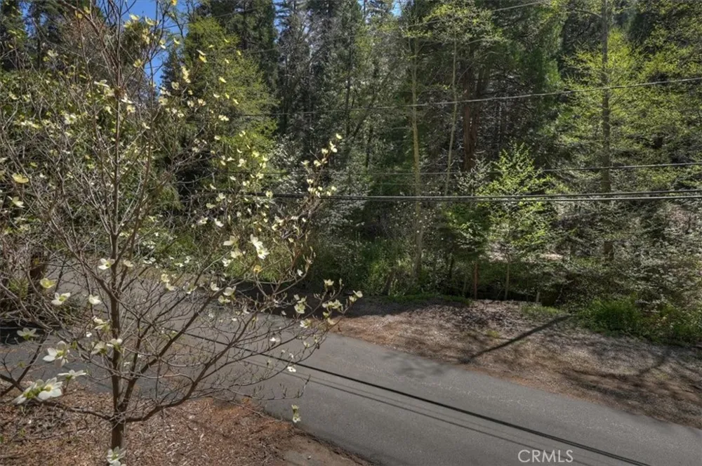 425 Blue Jay Canyon Lake Arrowhead, CA 92317