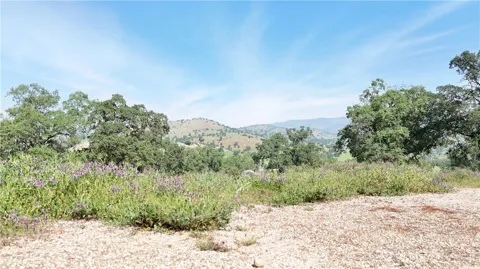 3295 Blue Oak Dr