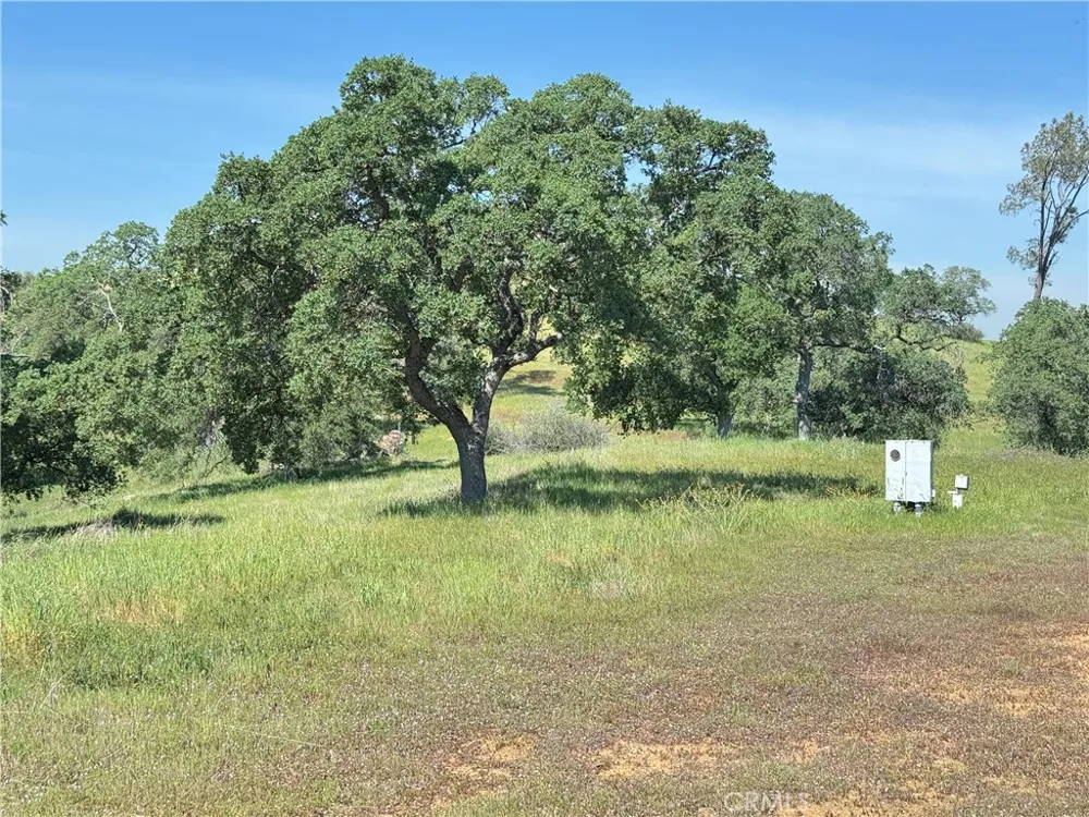 3295 Blue Oak Dr Catheys Valley, CA 95306