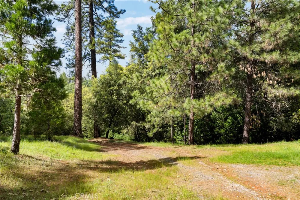 21324 Aqueduct Circle Pine Grove, CA 95665
