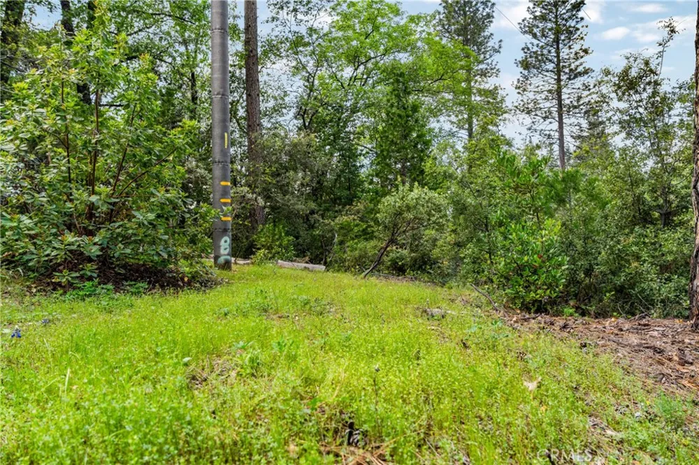 21324 Aqueduct Circle Pine Grove, CA 95665