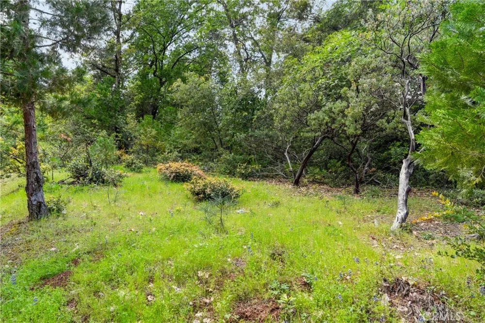 21324 Aqueduct Circle Pine Grove, CA 95665