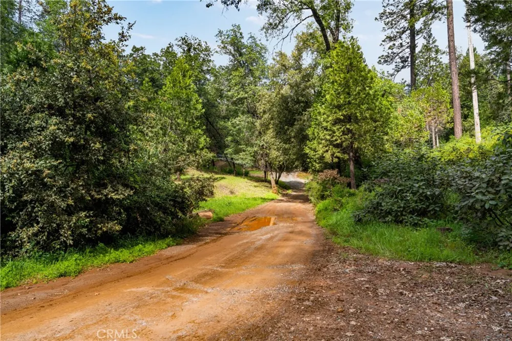 21324 Aqueduct Circle Pine Grove, CA 95665