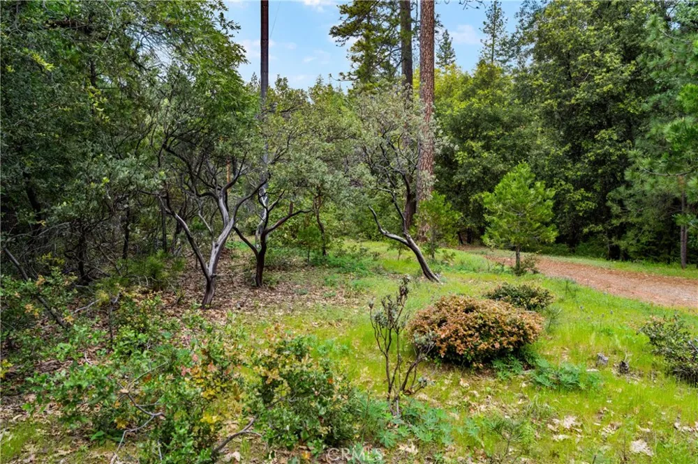21324 Aqueduct Circle Pine Grove, CA 95665