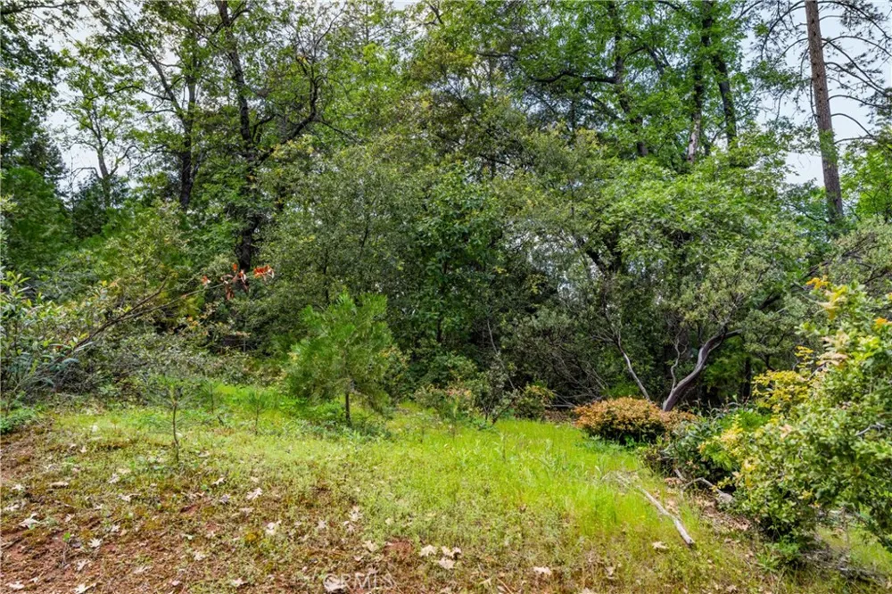 21324 Aqueduct Circle Pine Grove, CA 95665