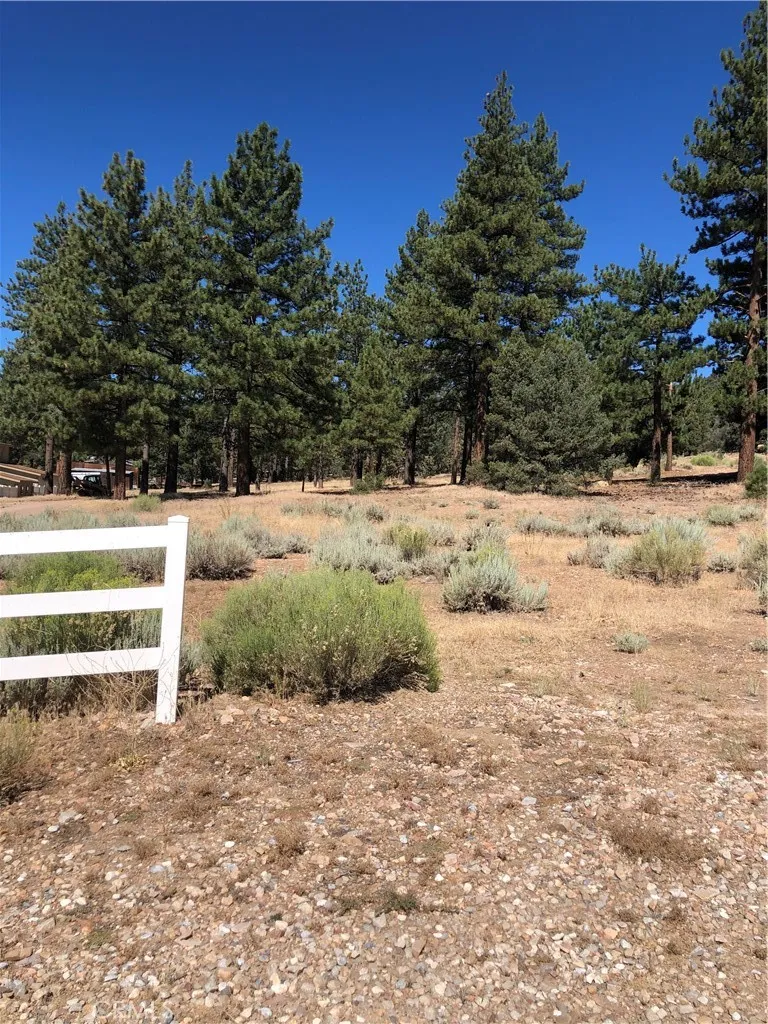 1137 Live Oak Big Bear, CA 92314