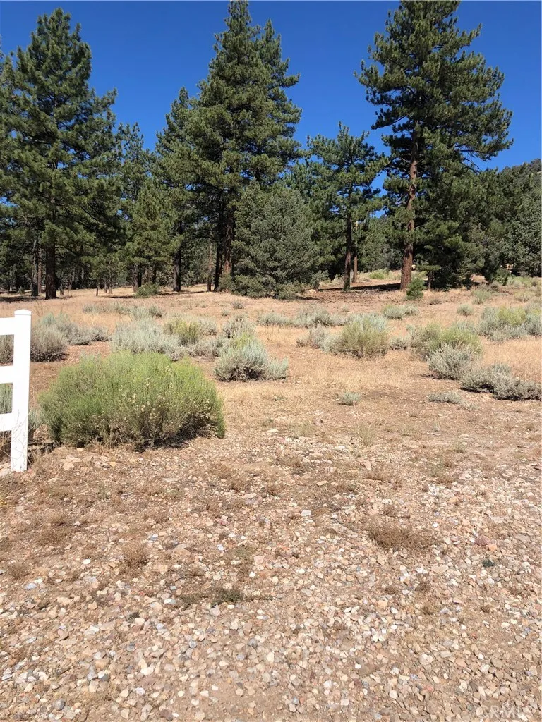 1137 Live Oak Big Bear, CA 92314