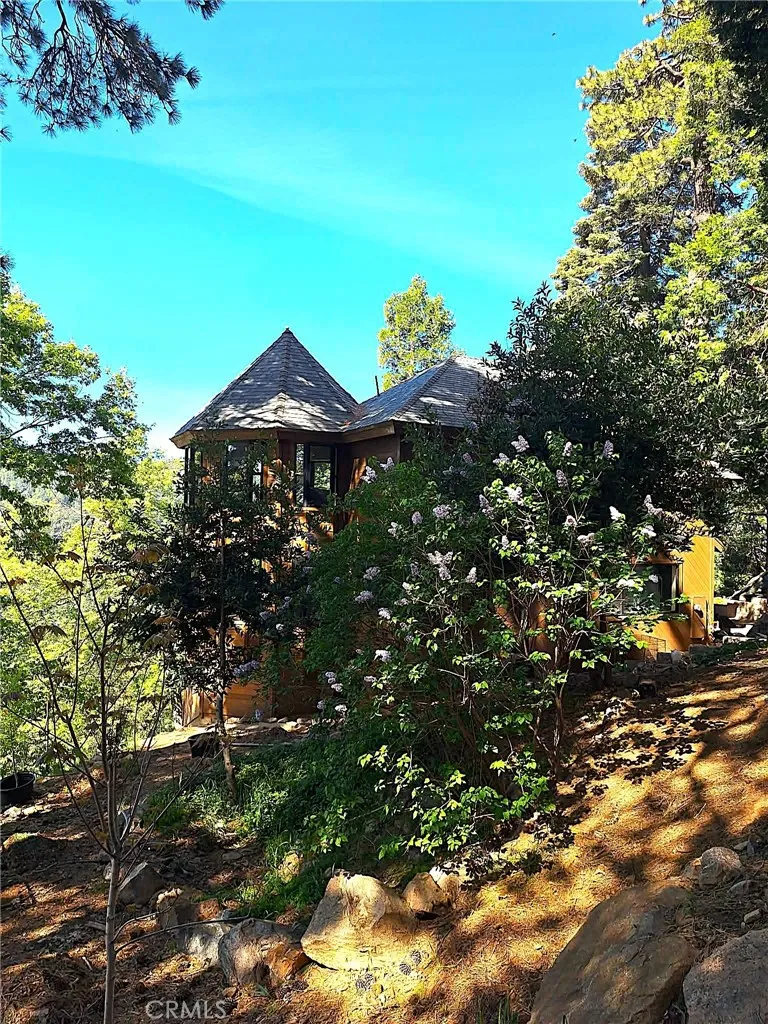 21425 Sawpit Canyon Road Cedarpines Park, CA 92322