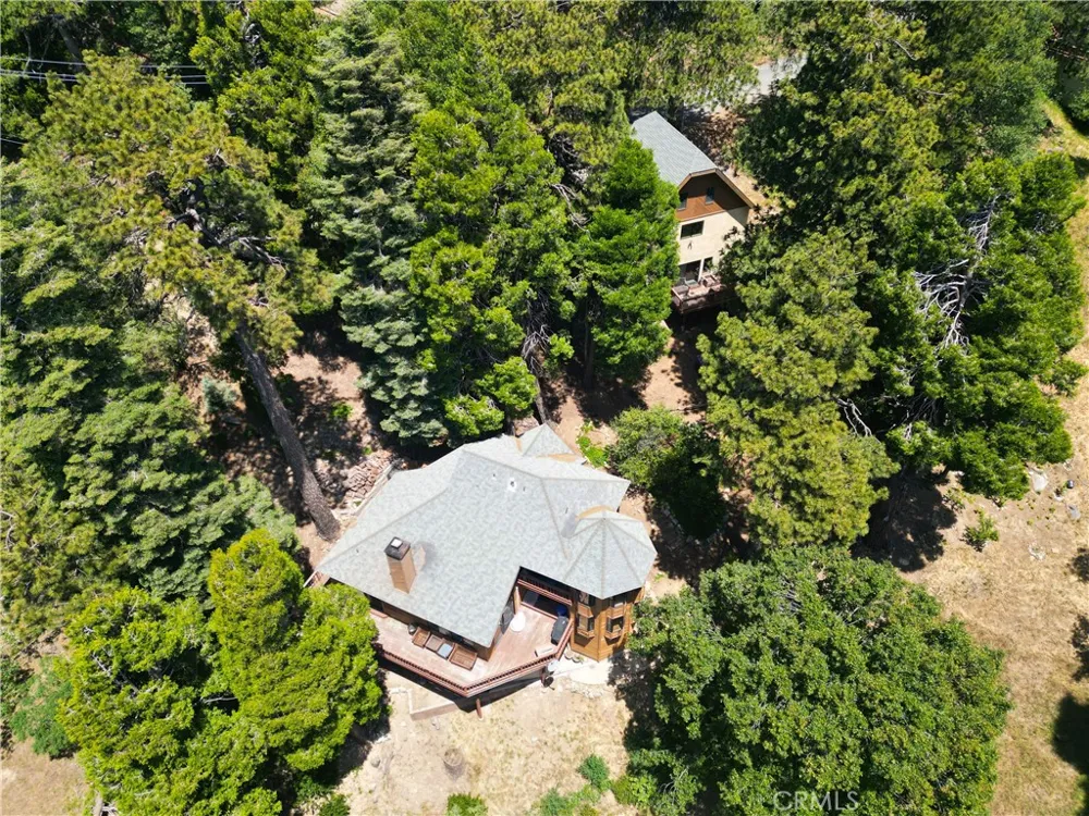 21425 Sawpit Canyon Road Cedarpines Park, CA 92322