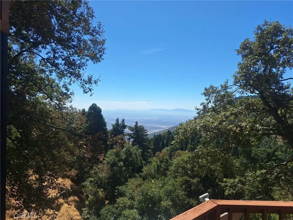 21425 Sawpit Canyon Road Cedarpines Park, CA 92322