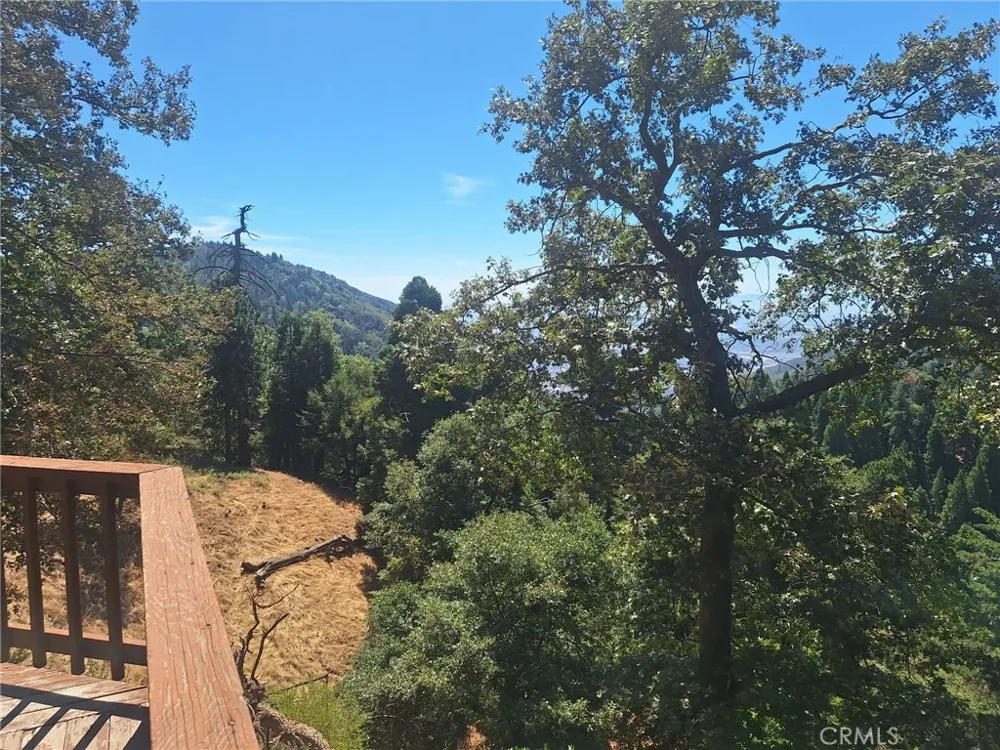 21425 Sawpit Canyon Road Cedarpines Park, CA 92322