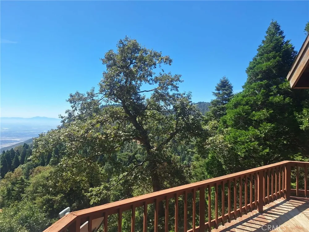 21425 Sawpit Canyon Road Cedarpines Park, CA 92322