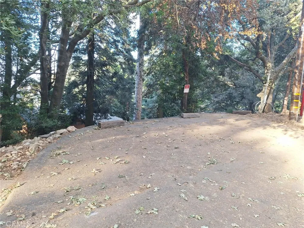 21425 Sawpit Canyon Road Cedarpines Park, CA 92322