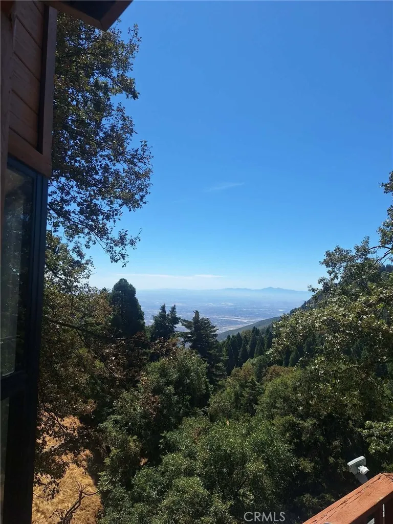 21425 Sawpit Canyon Road Cedarpines Park, CA 92322
