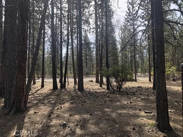 Red Cedar Ct Etna, CA 96027