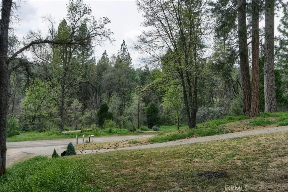 53213 Road 432 Bass Lake, CA 93604