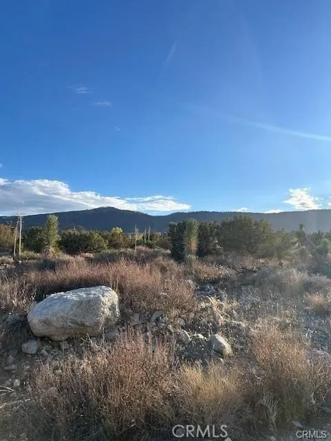 Yucca Pinon Hills, CA 92372
