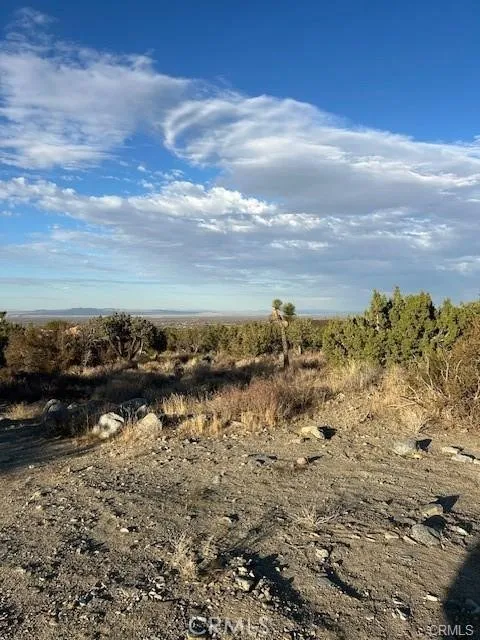 Yucca Pinon Hills, CA 92372