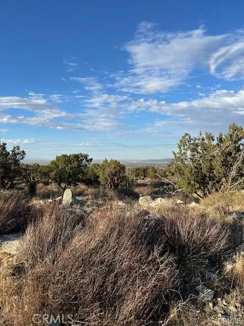 Yucca Pinon Hills, CA 92372