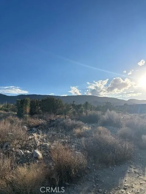 Yucca Pinon Hills, CA 92372