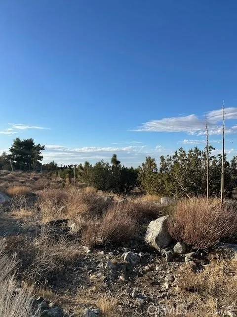 Yucca APN#306702110 Pinon Hills, CA 92372