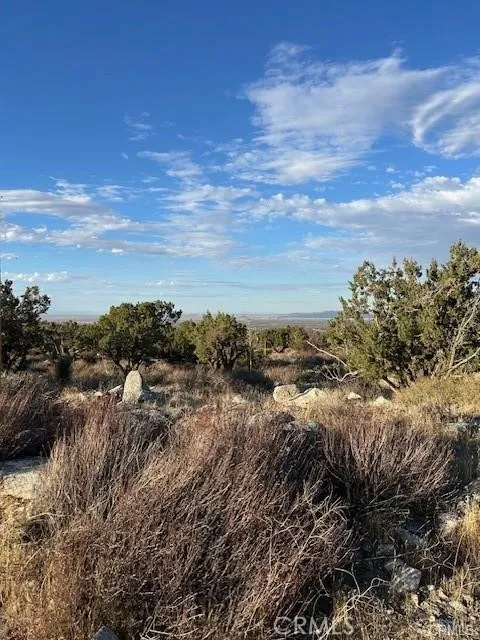 Yucca APN#306702110 Pinon Hills, CA 92372