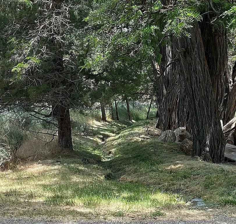 42528 County Road 1 Unincorporated, CA 96115