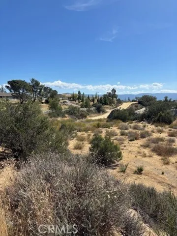 753 Rolling Hills Drive Aguanga, CA 92536