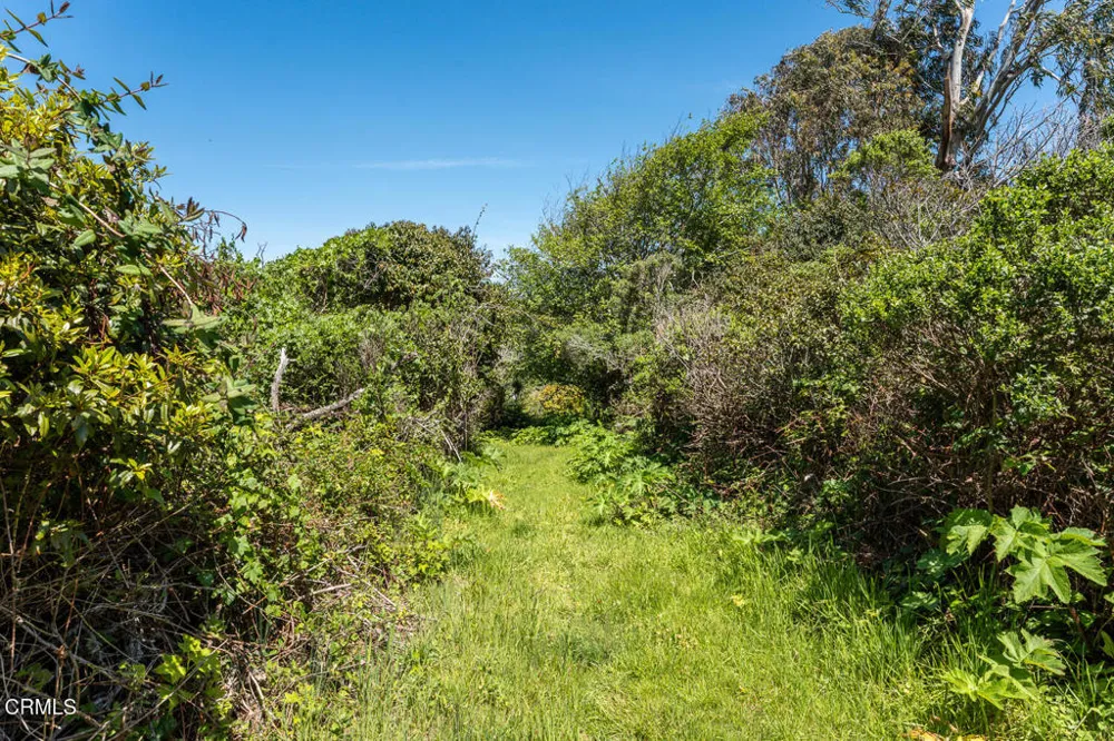 43700 Creamery Lane Manchester, CA 95459
