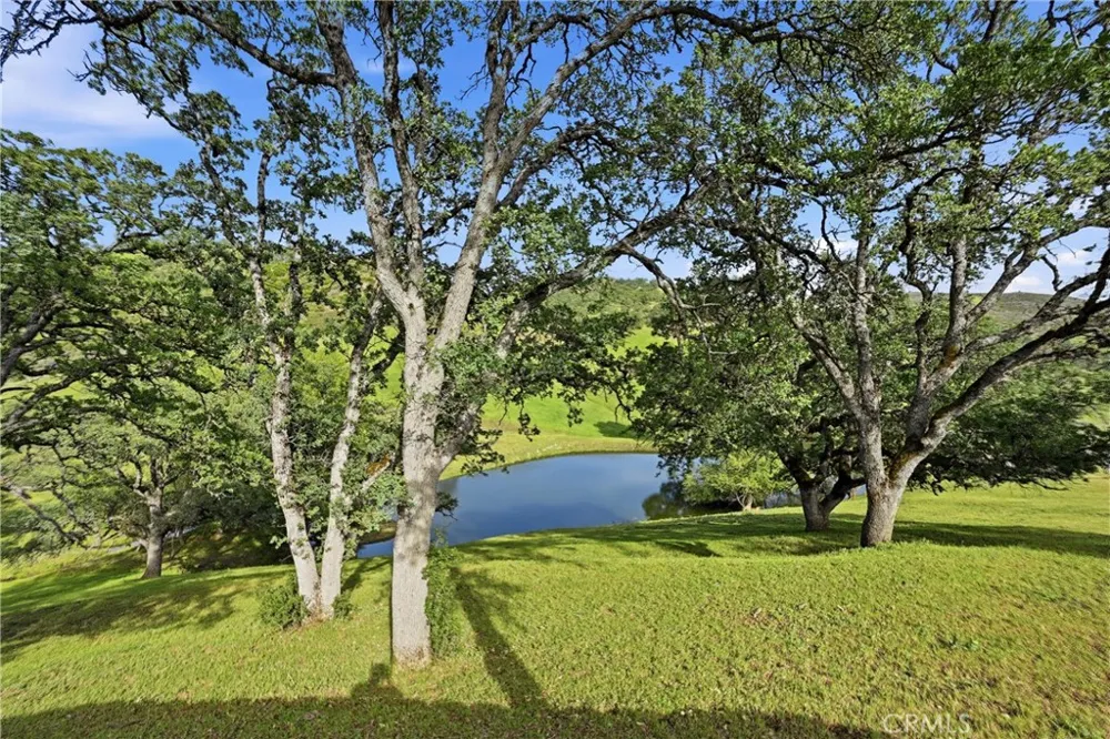 26200 Morgan Valley Lower Lake, CA 95457