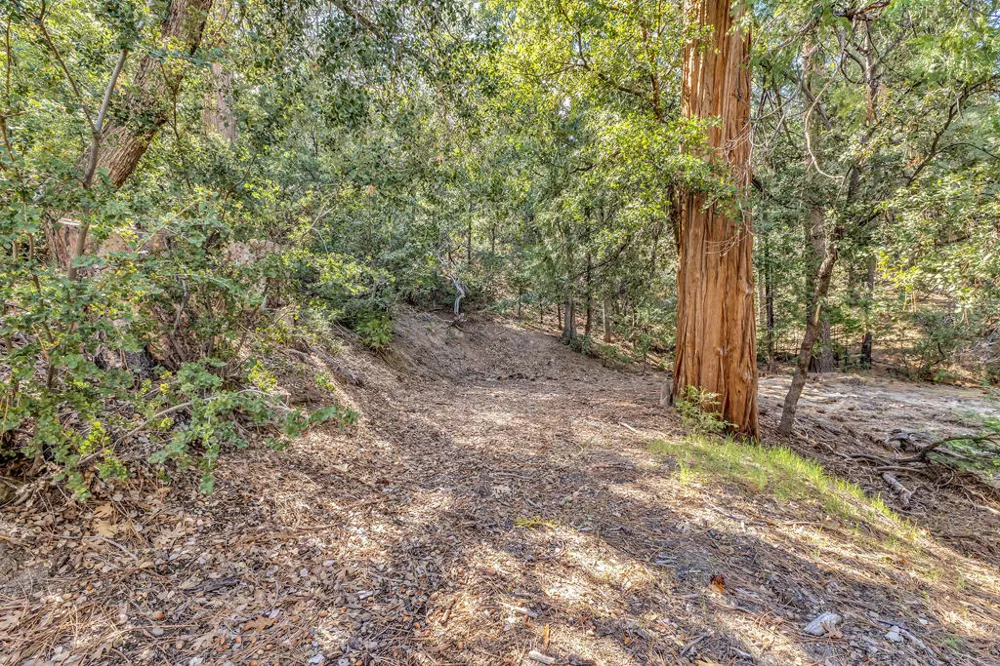 Lakeview Drive Idyllwild, CA 92549