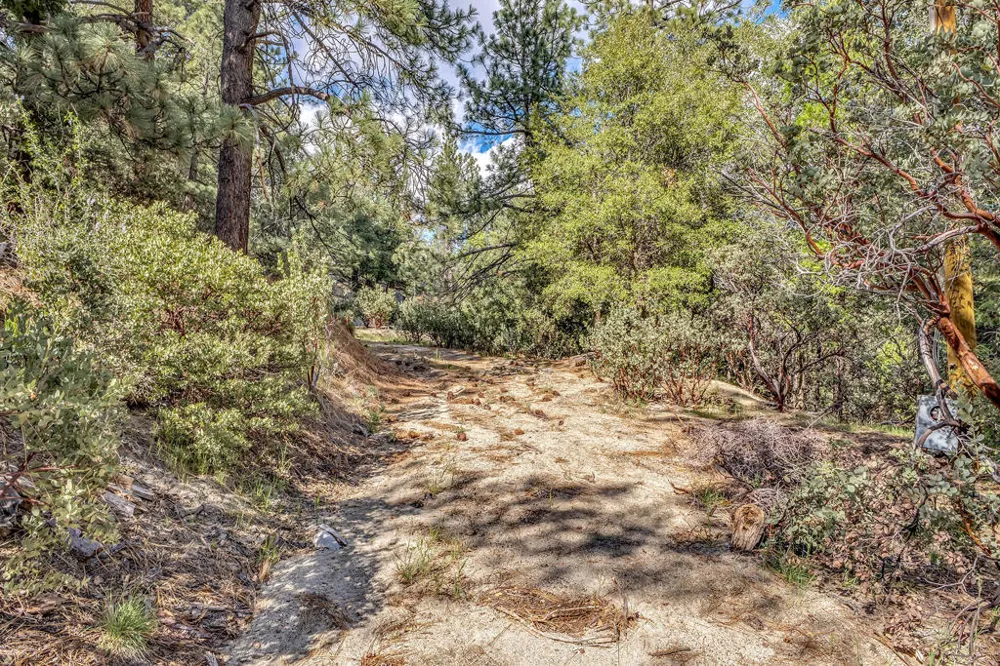Lakeview Drive Idyllwild, CA 92549