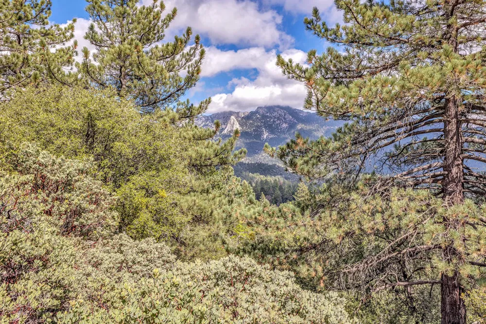 Lakeview Drive Idyllwild, CA 92549