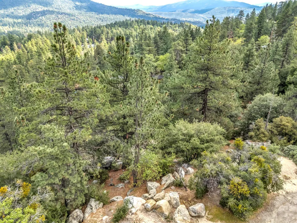 Lakeview Drive Idyllwild, CA 92549