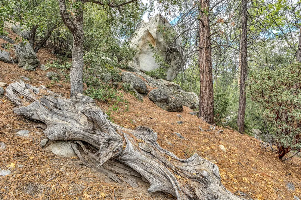 Lakeview Drive Idyllwild, CA 92549