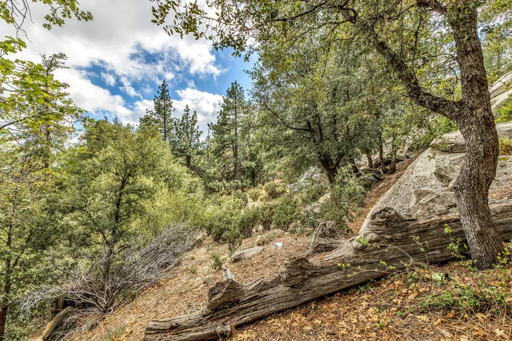 Lakeview Drive Idyllwild, CA 92549