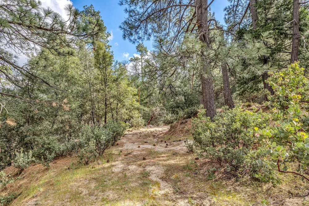 Lakeview Drive Idyllwild, CA 92549