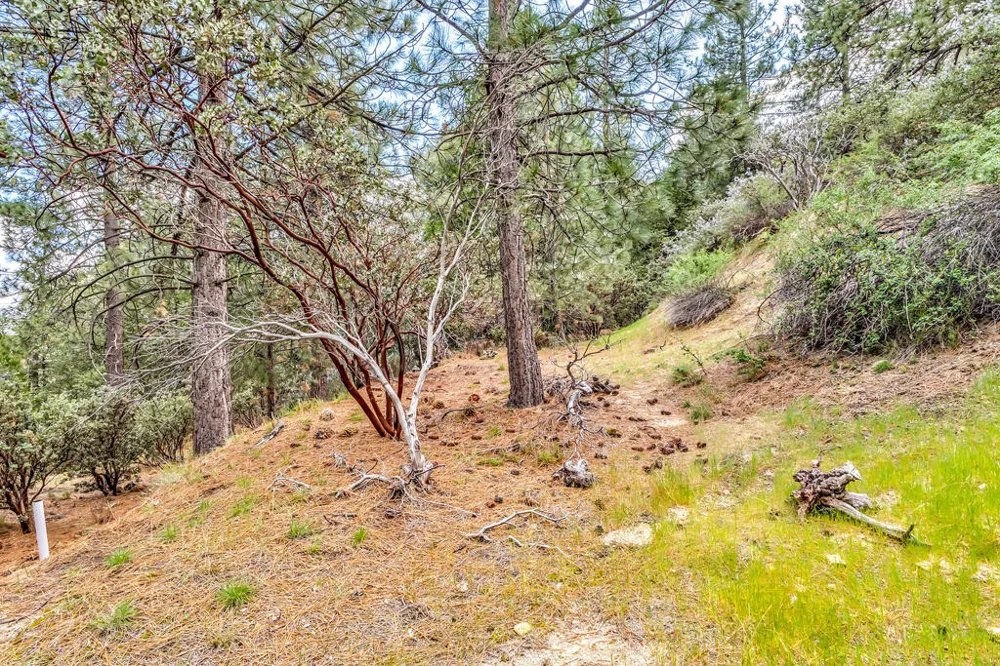 Lakeview Drive Idyllwild, CA 92549